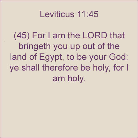 Leviticus1145