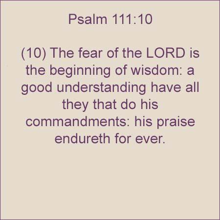 Psalm 11110