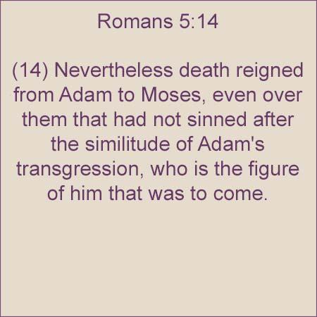 Romans 514